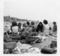 Beach Day 1965
Photo courtesy of Karen Donner '65, 